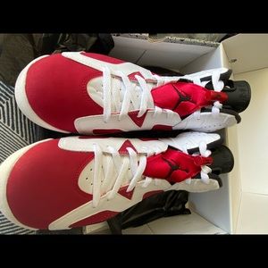 Carmine 6